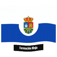 Comunidad De Madrid Flag Sticker by Formación Ninja