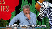 Nos Vamos Ilustres Ignorantes GIF by Movistar Plus+