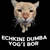 Press Yog GIF