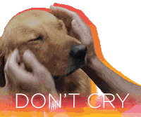 Golden Retriever Dogs Sticker by 20th Century Fox