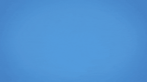 Rocket City Trash Pandas GIF by Rocket City Trash Pandas