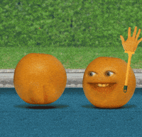 Orange Love GIF