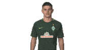 happy werder bremen Sticker by Bundesliga