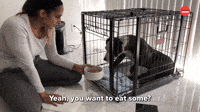 Lux Leaves His Cage