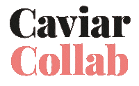 TheCaviarSpoon brand branding collab caviar Sticker