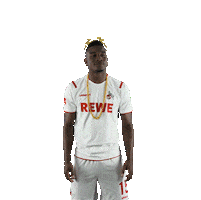Fc Cologne Bundesliga Sticker by 1. FC Köln