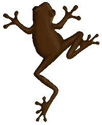 Harry Potter Sticker