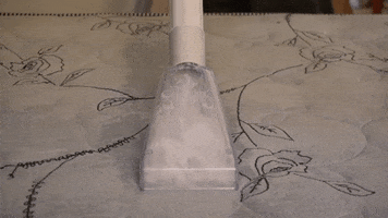 Limpeza Faxina GIF by WAP