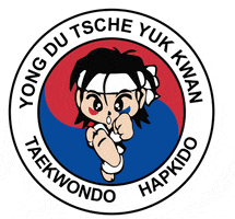 Taekwondo Hapkido GIF by YongDu