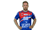 Handball Pgnigsuperliga Sticker by KS Azoty-Puławy S.A.