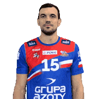 Handball Pgnigsuperliga Sticker by KS Azoty-Puławy S.A.