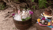 survivorau GIF by Australian Survivor