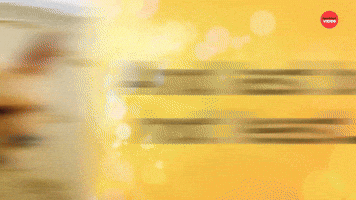 Golden Retriever Derps