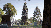 nbc GIF by The Blacklist