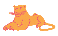 Cat Party Sticker by Je Suis Energy