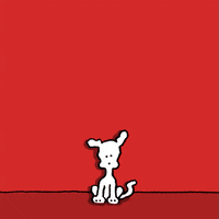 Christmas Dogs GIF by Chippy the Dog