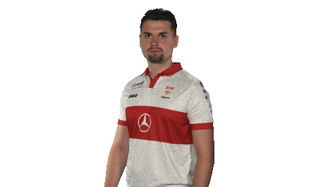 Proud Vfb Stuttgart Sticker by Bundesliga