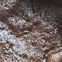 Coffee Bubbles GIF
