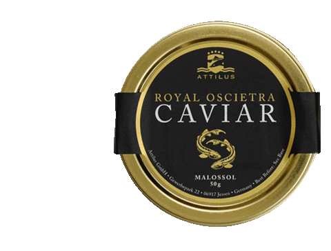 Attilus Caviar Sticker for iOS & Android | GIPHY