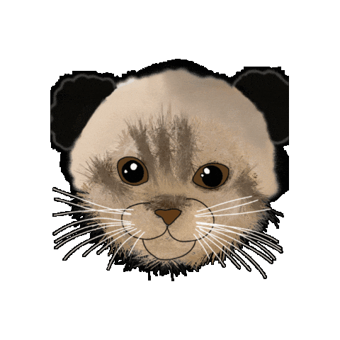 Justbrilliantandsparkle Sticker