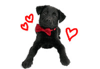 atlantahumane atlanta atlanta humane society atlantahumanesociety bow wow brunch Sticker