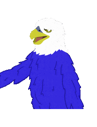 CommunitySchoolNaples seahawks naples csn naplesfl Sticker