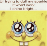 Sponge Bob GIF