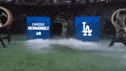 Los Angeles Dodgers Sport GIF by MLB