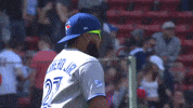 Blue Jays Summer GIF by Toronto Blue Jays