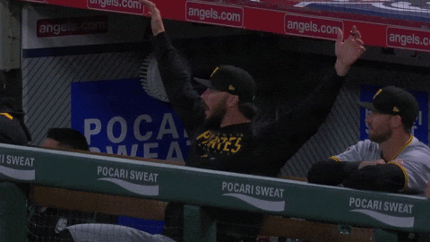 Pittsburgh Pirates Wow GIF by MLB