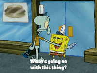 season 4 GIF by SpongeBob SquarePants