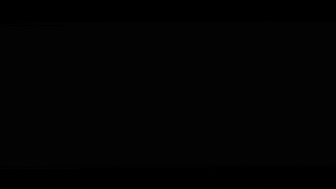 megdonnelly giphygifmaker trust meg donnelly predictable GIF