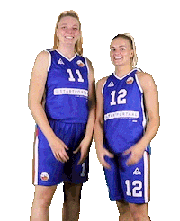 Cbvbinnenland Sticker by 4Consult / Binnenland