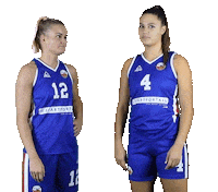 Basketball Handshake Sticker by 4Consult / Binnenland