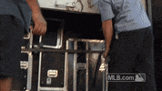 mascot love GIF by MLB