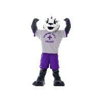 SpringHillCollege badgers shc spring hill hill yeah Sticker