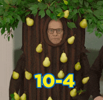 10-4 Yes GIF by Maxi