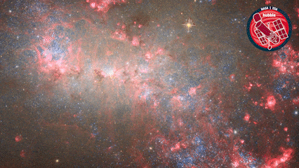 Stars Glowing GIF by ESA/Hubble Space Telescope