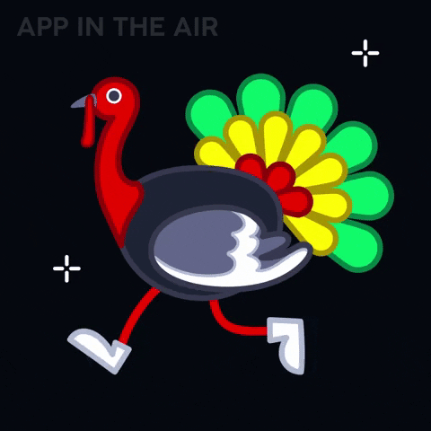 Thanksgiving Day Running GIF by App in the Air