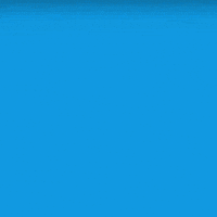 Fishmans GIF