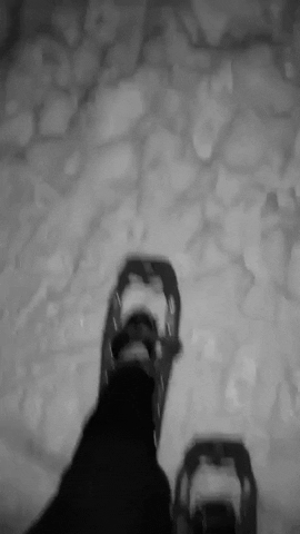 snow snowshoeing GIF by Fort Lewis College