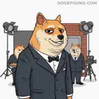 Shiba Inu Crying GIF by Doge Pound