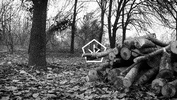 black and white art GIF by Okkult Motion Pictures
