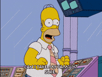 homer simpson GIF