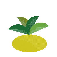 sticker plants