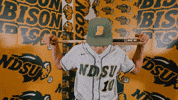 Luis Garcia Baseball GIF by NDSU Athletics