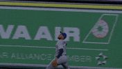 Blue Jays Baseball GIF by Toronto Blue Jays