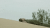 everything beautiful is far away sand angel GIF by The Orchard Films
