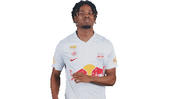 Football Sport Sticker by FC Red Bull Salzburg