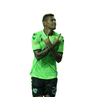 Sticker by Avante Sports